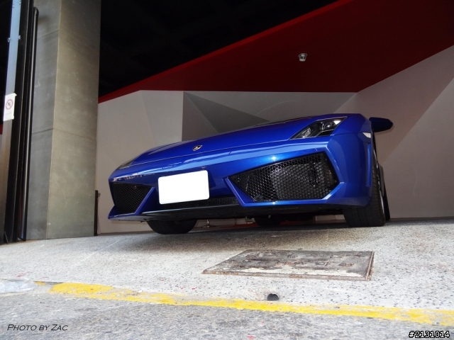 完美雙色~LP560-4 Bicolore
