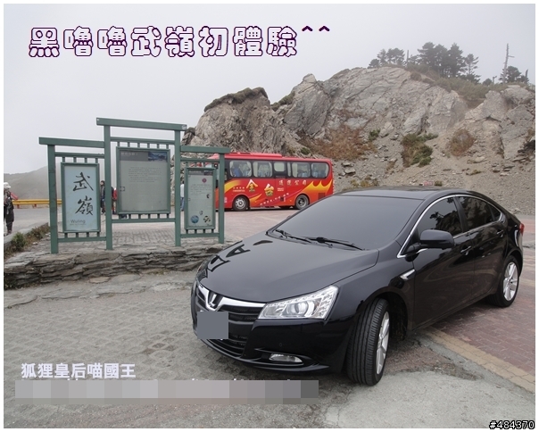 狐狸皇后喵國王之 黑色ANGER BIRD 的逆襲