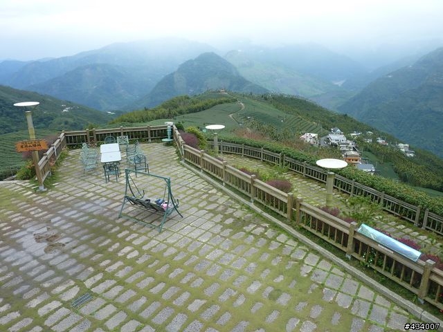 1/12~13梅山龍興宮，青心烏龍伴我行