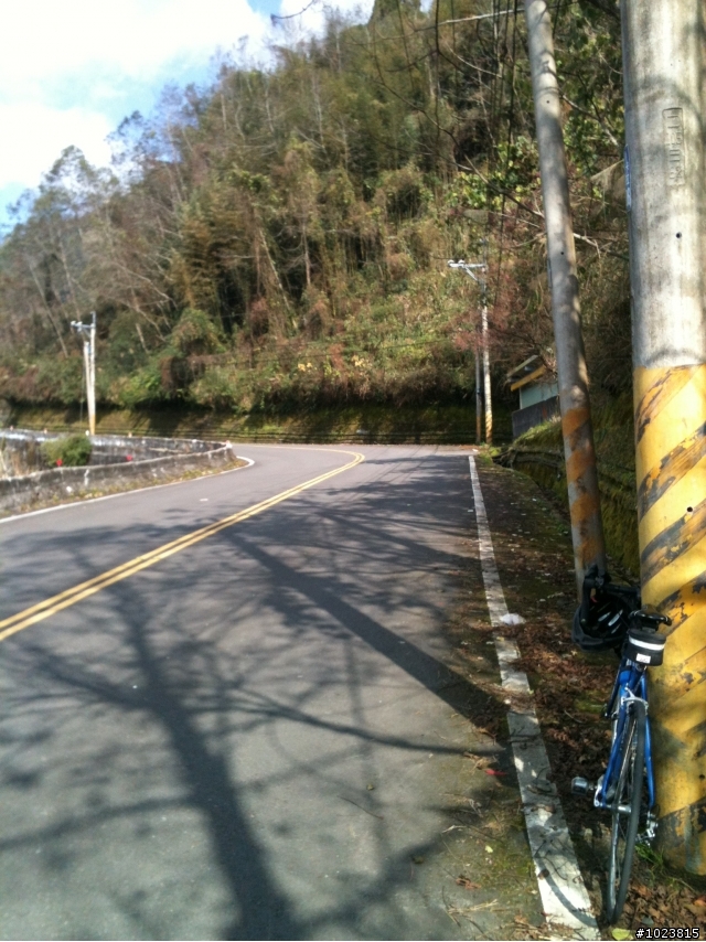 拉拉山賞櫻去
