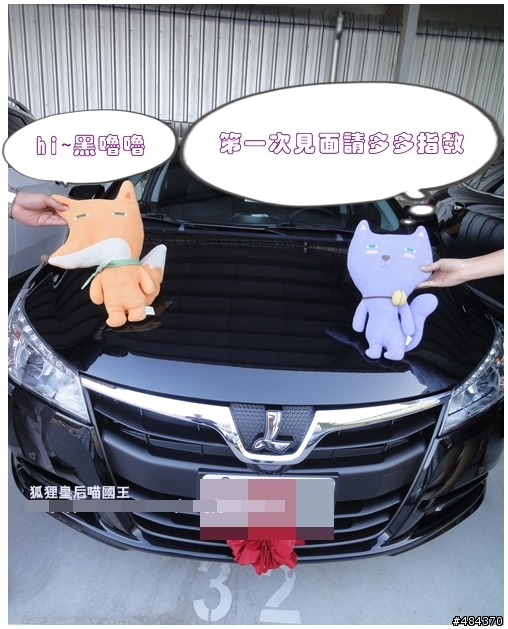 狐狸皇后喵國王之 黑色ANGER BIRD 的逆襲