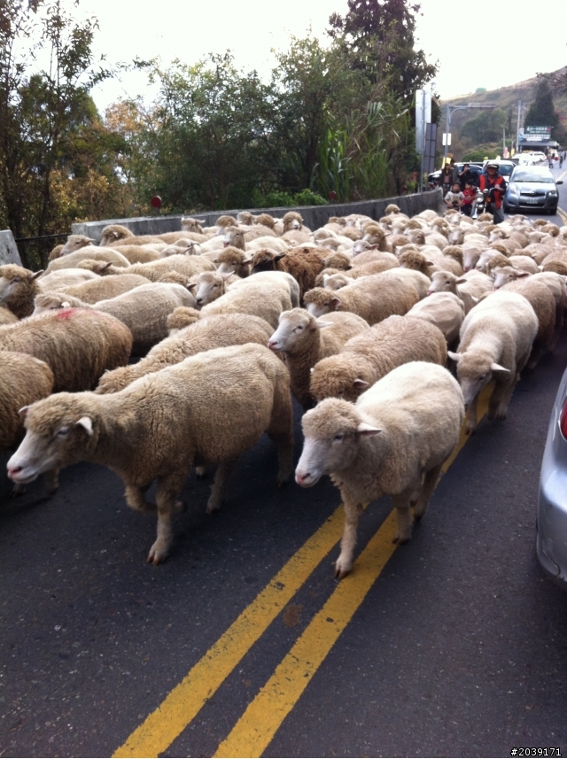 {漫~典}~送給自己的生日禮物~武嶺&合歡山主峰~20130118