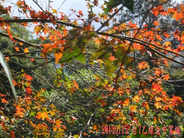 20130115  角板山石門水庫之旅