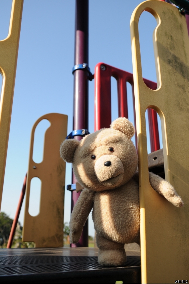 TED (圖多)