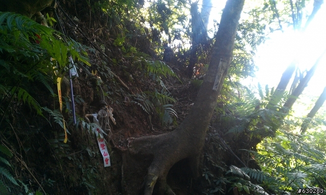 20130121 永定煤礦 永定坑山 鳥嘴岩 鳥嘴山 皇帝殿北峯登山口 O型健走