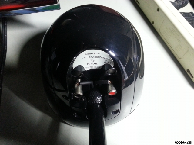 Focal little bird 2.1簡單開箱
