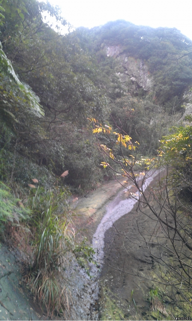 20130121 永定煤礦 永定坑山 鳥嘴岩 鳥嘴山 皇帝殿北峯登山口 O型健走