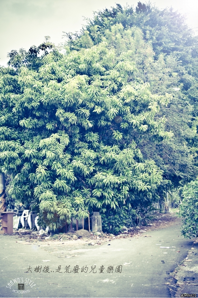 第一次分享-被人遺忘的高雄左營復興新村-
