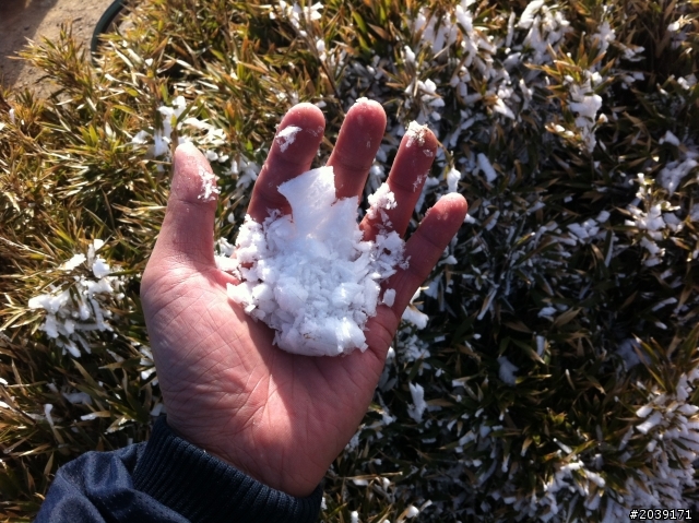 {漫~典}~送給自己的生日禮物~武嶺&合歡山主峰~20130118