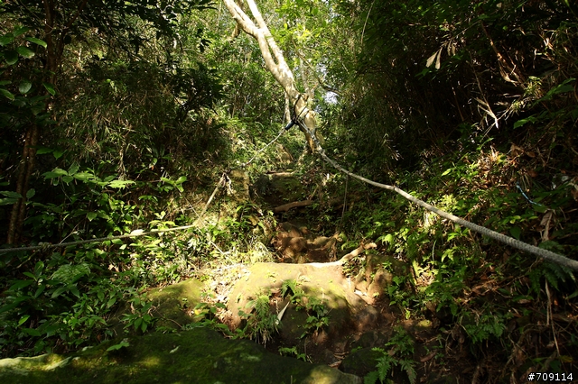 [ 郊山 ] 小百岳005－觀音山、占山連峰