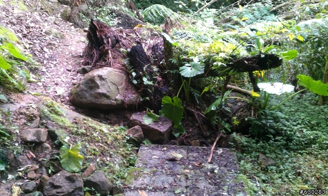 20130121 永定煤礦 永定坑山 鳥嘴岩 鳥嘴山 皇帝殿北峯登山口 O型健走