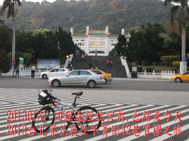 20130131  2013台北茶花展及平菁街42巷賞櫻之旅