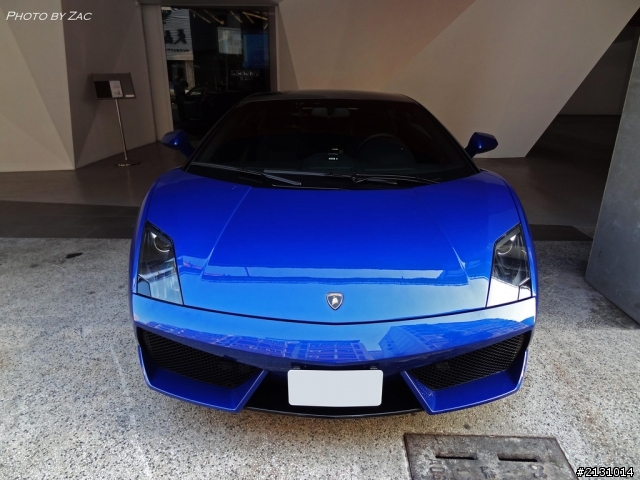 完美雙色~LP560-4 Bicolore