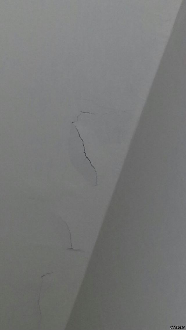 請問這個天花板