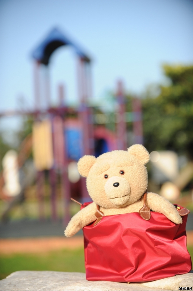 TED (圖多)