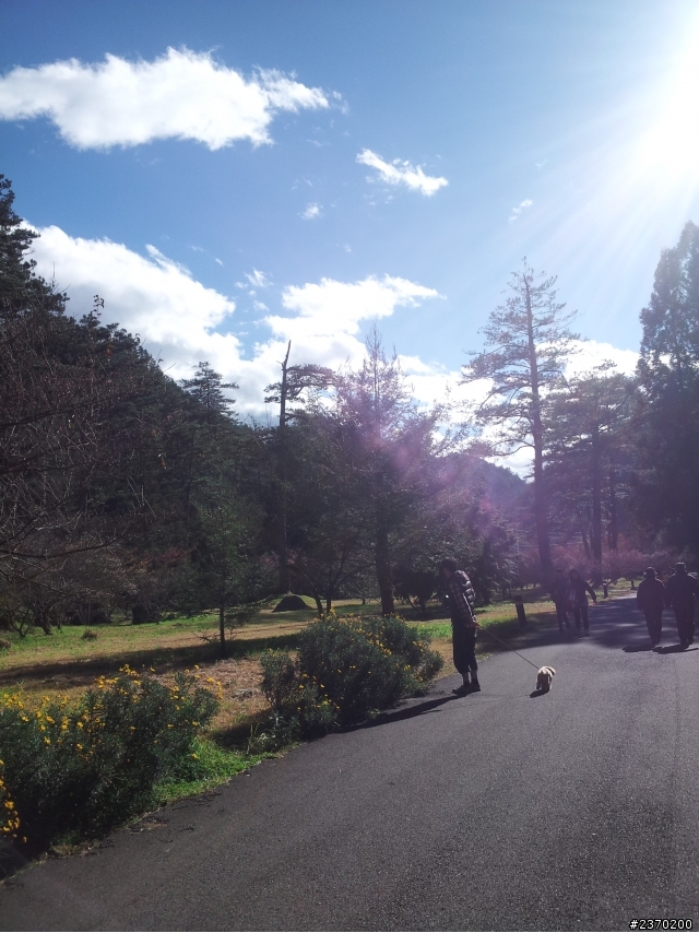 色彩繽紛武陵農場