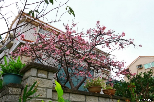 為什麼沒有人用canon 和所有鏡頭來蓋一層未修圖的大樓