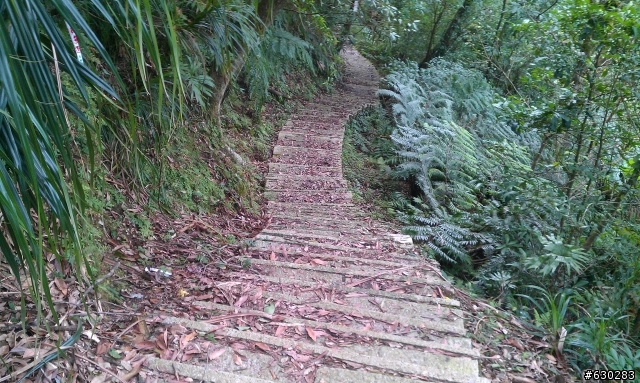 20130121 永定煤礦 永定坑山 鳥嘴岩 鳥嘴山 皇帝殿北峯登山口 O型健走