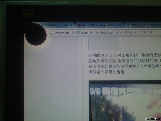 求救!!!螢幕出現黑斑 有兩種