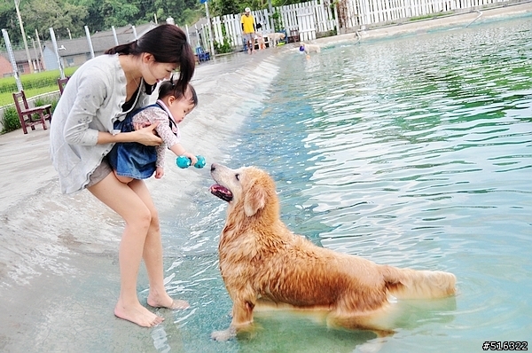 小孩與寵物