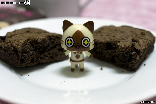 Airou X Brownie -艾路喵 X 巧克力布朗尼