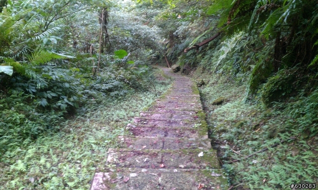 20130121 永定煤礦 永定坑山 鳥嘴岩 鳥嘴山 皇帝殿北峯登山口 O型健走