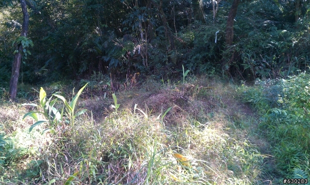 20130121 永定煤礦 永定坑山 鳥嘴岩 鳥嘴山 皇帝殿北峯登山口 O型健走
