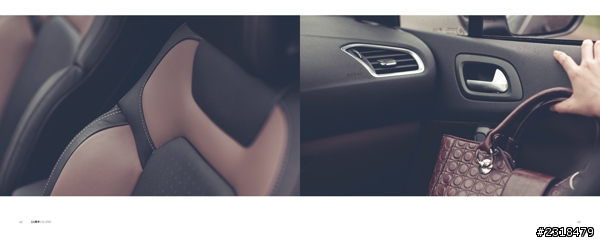 Citroën DS系列 (圖多慎入)