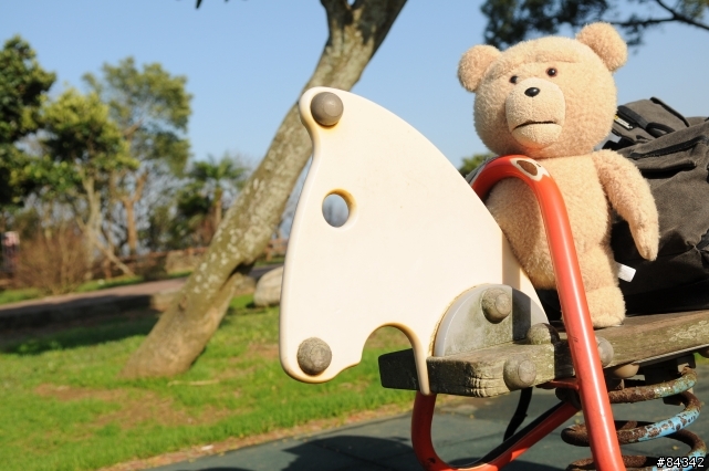 TED (圖多)