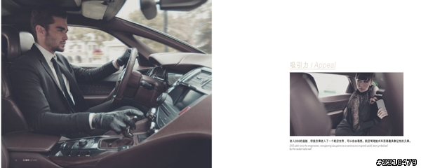 Citroën DS系列 (圖多慎入)
