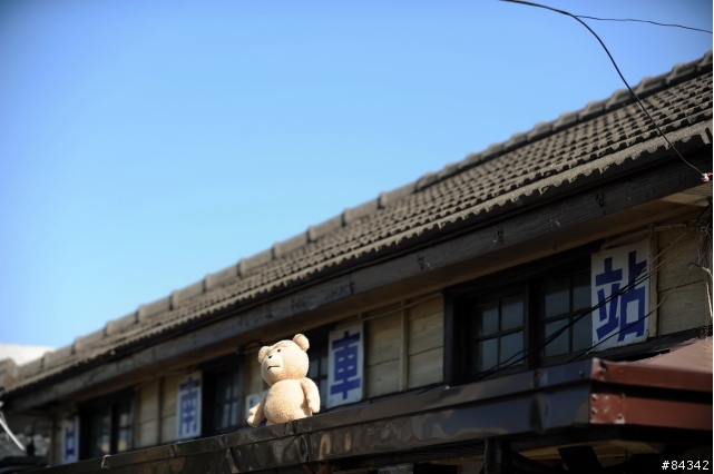 TED (圖多)