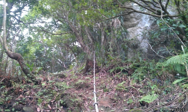 20130121 永定煤礦 永定坑山 鳥嘴岩 鳥嘴山 皇帝殿北峯登山口 O型健走