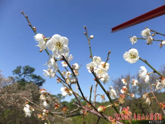 20130115  角板山石門水庫之旅