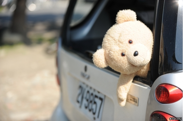 TED (圖多)