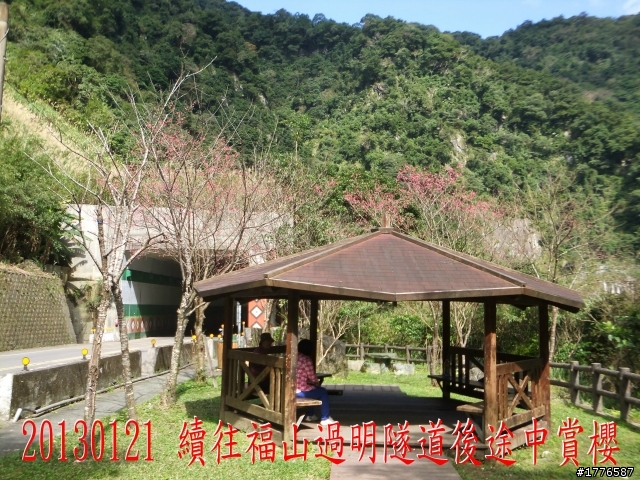 20130121  烏來福山賞櫻之旅