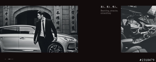 Citroën DS系列 (圖多慎入)