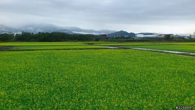 1月11到1月13台東行