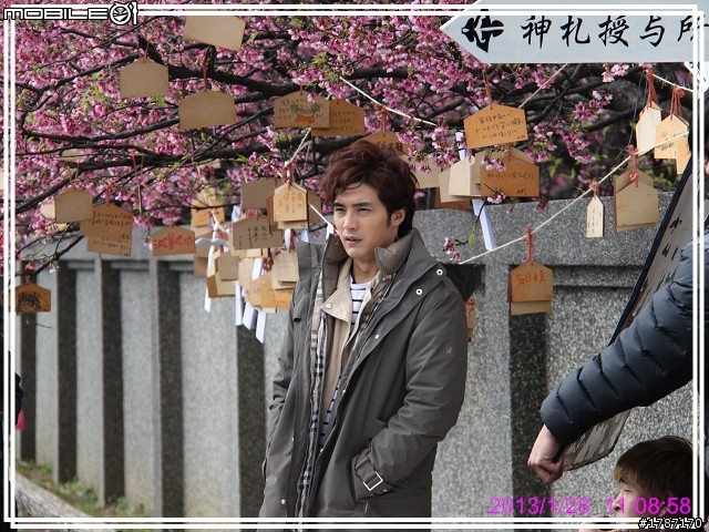 20130128 士林區平菁街42巷巧遇~小美，寒櫻已經接近尾聲。