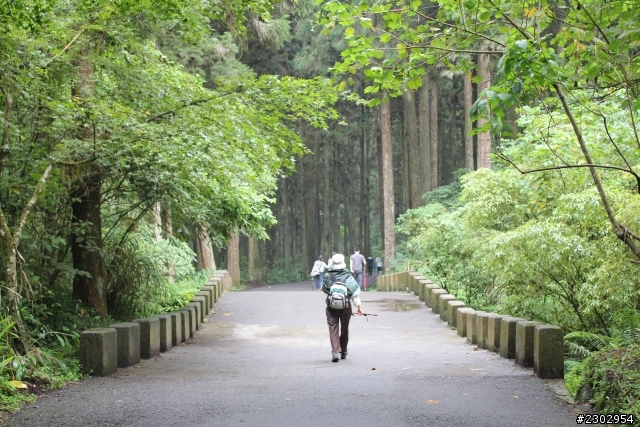 canon650D-2012亂拍回顧(大部分都是騰龍A16)