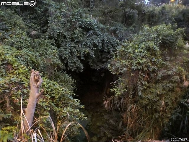 基隆河濱古蹟巡禮