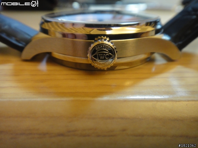 暫時收手之 IWC 5001 開箱