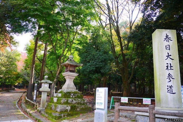 【分享】奈良 + 早上7點樂桃航空 (圖多，慎入)