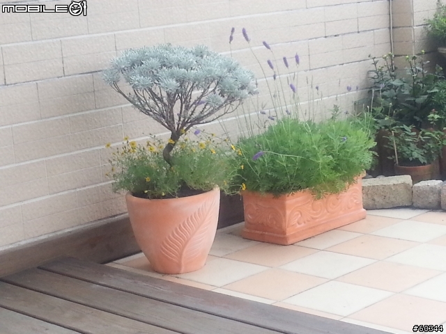 剛整理好的花園..po上來分享一下