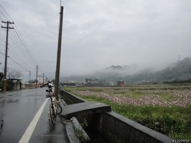 2013首發團，苗栗健康一路發，