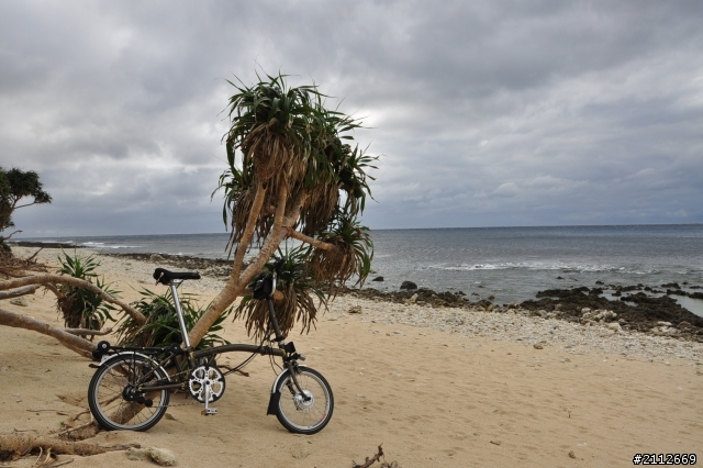 Brompton 的小旅行
