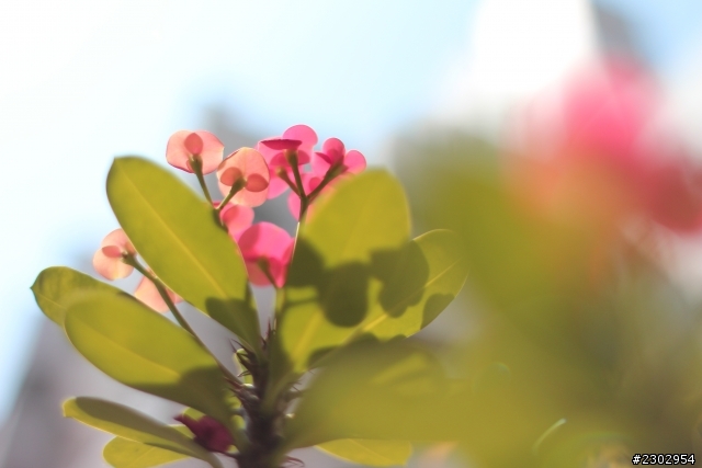 canon650D-2012亂拍回顧(大部分都是騰龍A16)