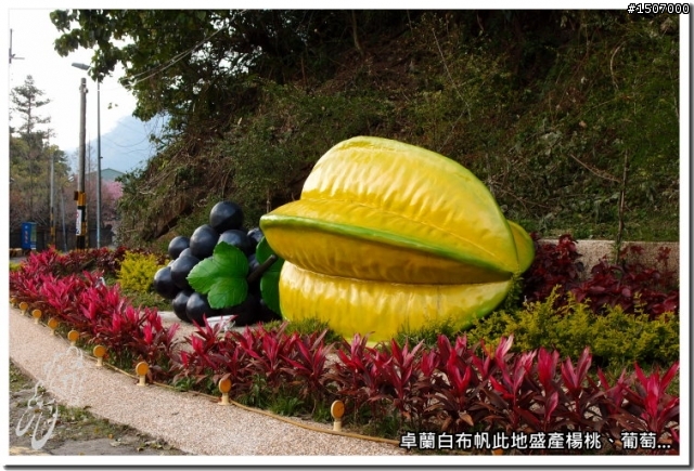 苗栗卓蘭白布帆峽谷趴趴照...