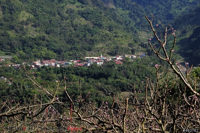 高雄那瑪夏(三民鄉)至阿里山山路