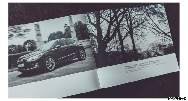 Citroën DS系列 (圖多慎入)