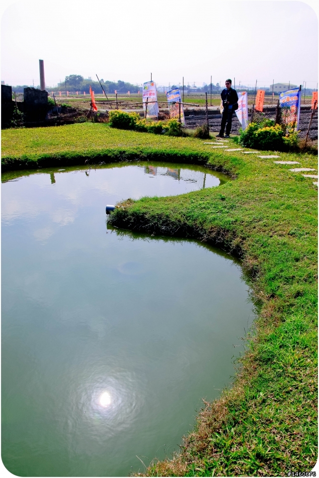 2013 彰化大村 " 雙心生態池 " 農村趣